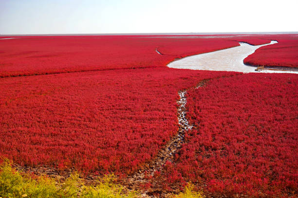 Red Beach